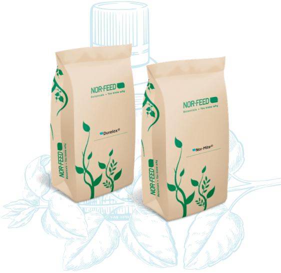 Nor-Oleum